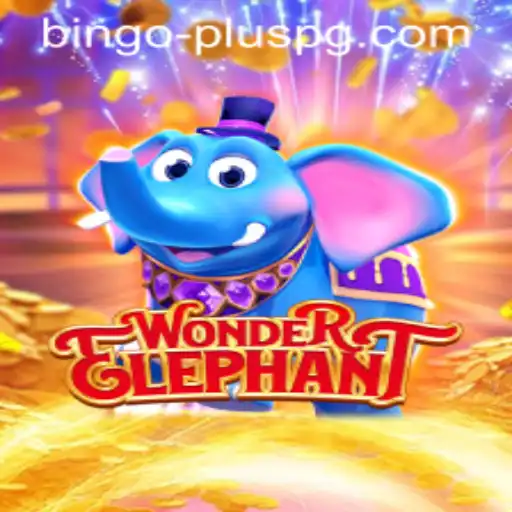 Unveiling WonderElephant: A Fresh Take on BINGO PLUS