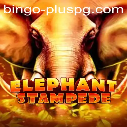 ElephantStampede Game and the Rise of BINGO PLUS