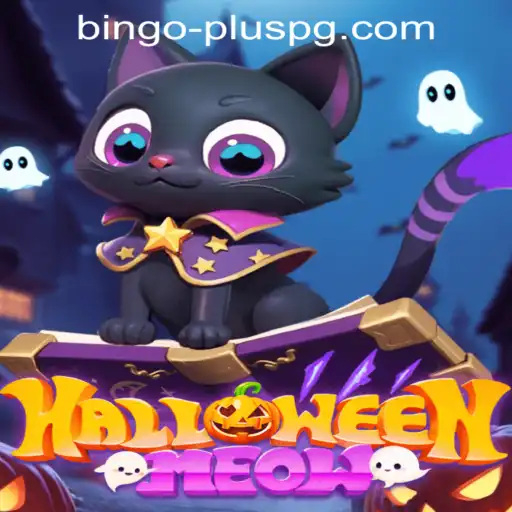 Unveiling HalloweenMeow: A Spooky Game with a BINGO PLUS Twist