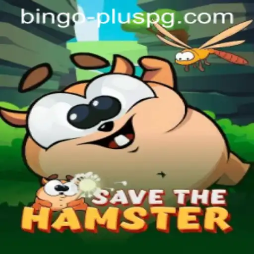Exploring the Exciting World of SavetheHamster: A BINGO PLUS Adventure