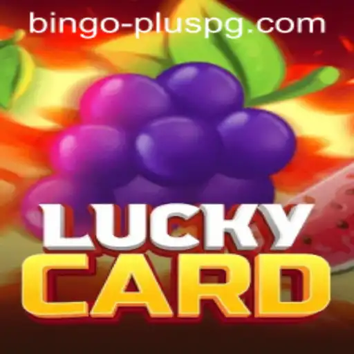 Exploring the World of LuckyCard: The Excitement of BINGO PLUS